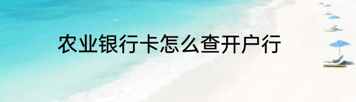 农业银行卡怎么查开户行