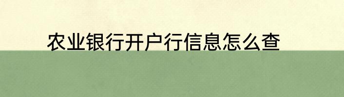 农业银行开户行信息怎么查