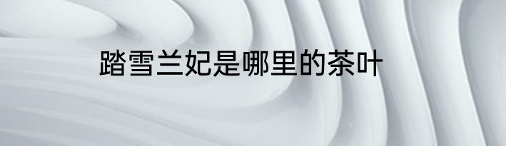 踏雪兰妃是哪里的茶叶