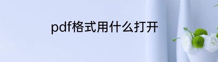 pdf格式用什么打开