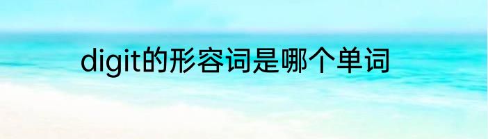 digit的形容词是哪个单词