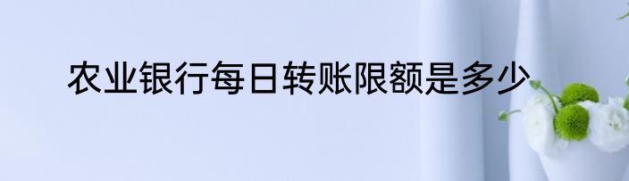 农业银行每日转账限额是多少
