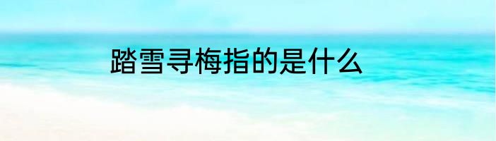 踏雪寻梅指的是什么