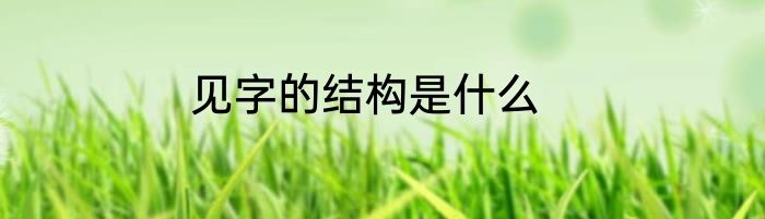 见字的结构是什么