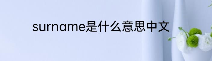 surname是什么意思中文
