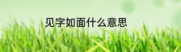 见字如面什么意思