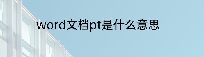 word文档pt是什么意思