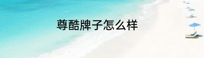 尊酷牌子怎么样