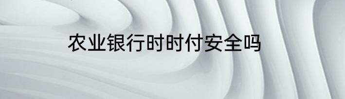 农业银行时时付安全吗