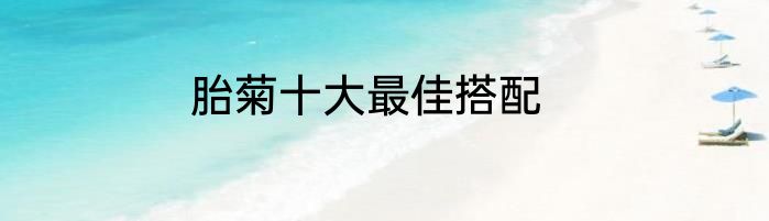 胎菊十大最佳搭配