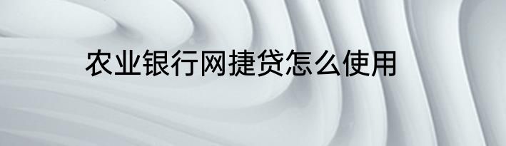 农业银行网捷贷怎么使用