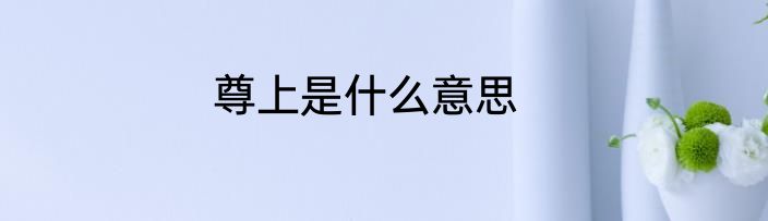 尊上是什么意思