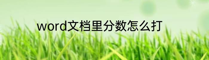 word文档里分数怎么打