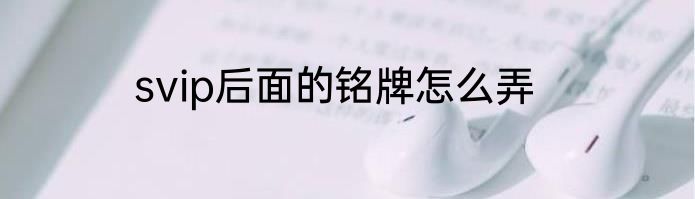 svip后面的铭牌怎么弄