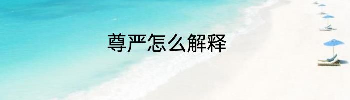 尊严怎么解释