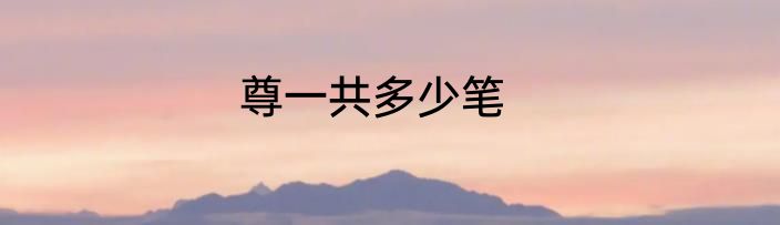 尊一共多少笔
