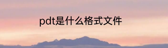 pdt是什么格式文件