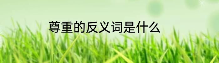 尊重的反义词是什么