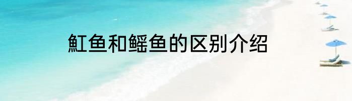 魟鱼和鳐鱼的区别介绍