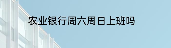 农业银行周六周日上班吗