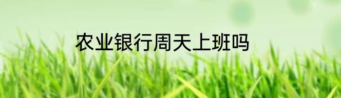 农业银行周天上班吗