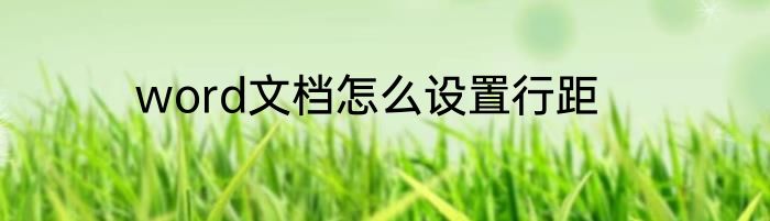 word文档怎么设置行距
