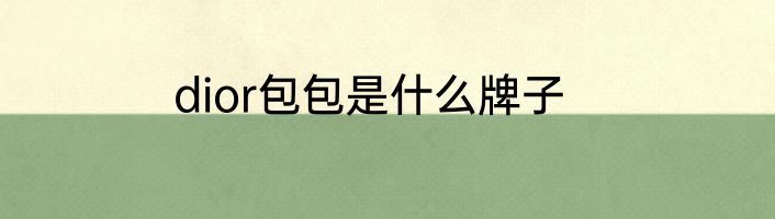 dior包包是什么牌子