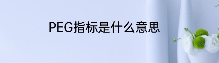 PEG指标是什么意思