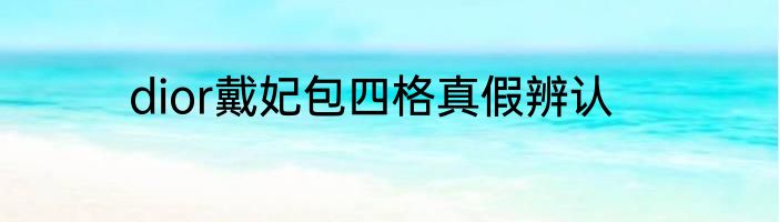 dior戴妃包四格真假辨认
