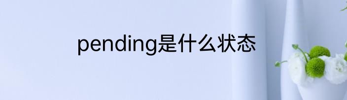 pending是什么状态