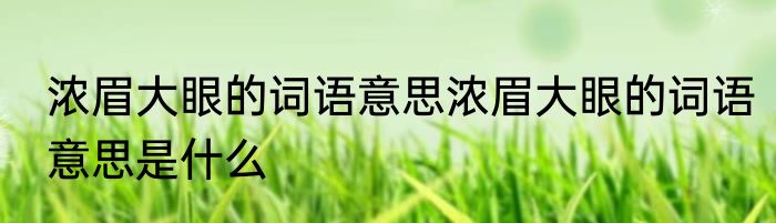 浓眉大眼的词语意思浓眉大眼的词语意思是什么