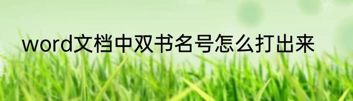 word文档中双书名号怎么打出来