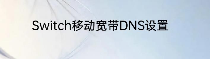 Switch移动宽带DNS设置