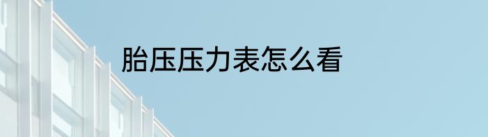 胎压压力表怎么看