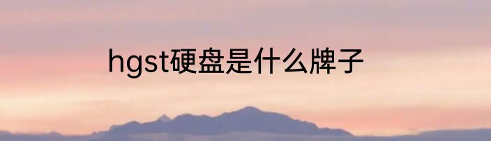 hgst硬盘是什么牌子