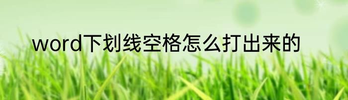 word下划线空格怎么打出来的