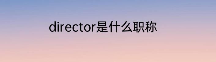 director是什么职称