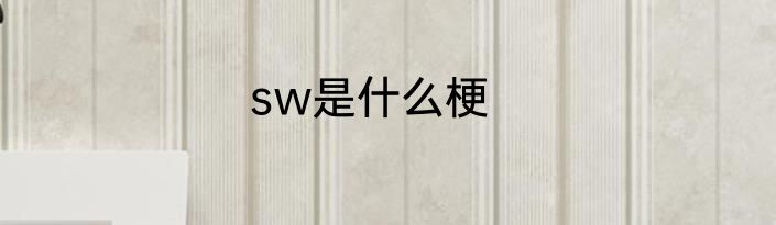 sw是什么梗