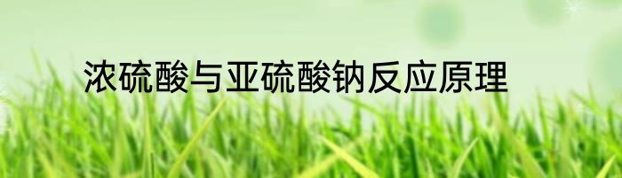 浓硫酸与亚硫酸钠反应原理