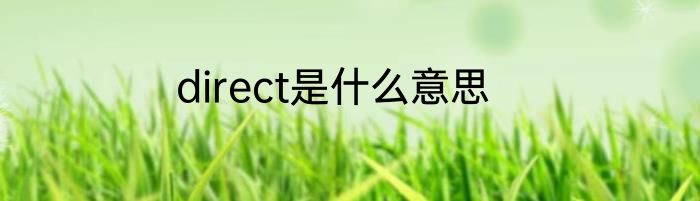 direct是什么意思