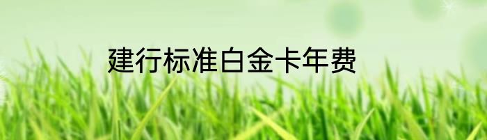 建行标准白金卡年费