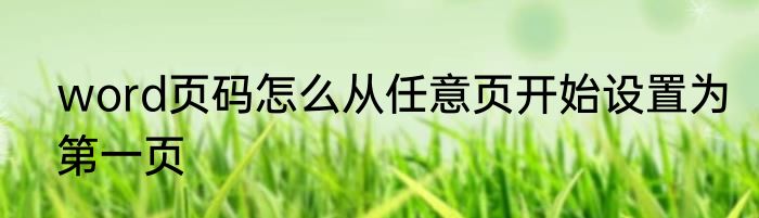 word页码怎么从任意页开始设置为第一页