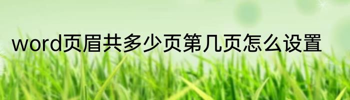 word页眉共多少页第几页怎么设置