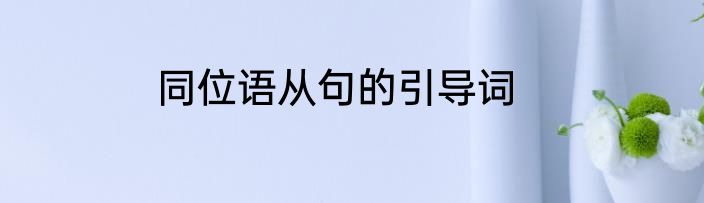 同位语从句的引导词
