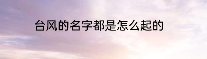 台风的名字都是怎么起的