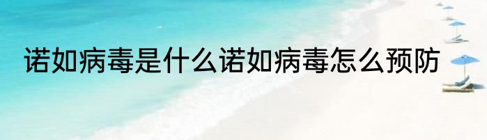 诺如病毒是什么诺如病毒怎么预防
