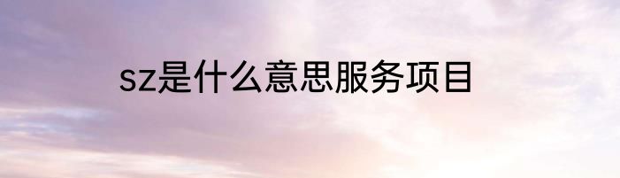 sz是什么意思服务项目