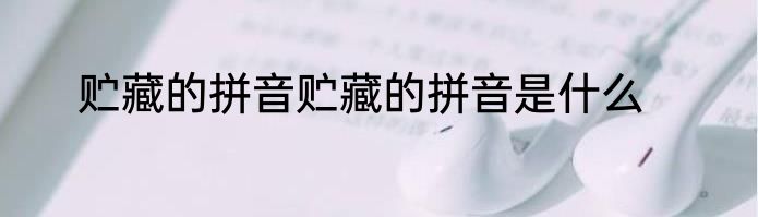 贮藏的拼音贮藏的拼音是什么