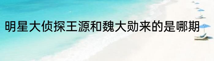 明星大侦探王源和魏大勋来的是哪期