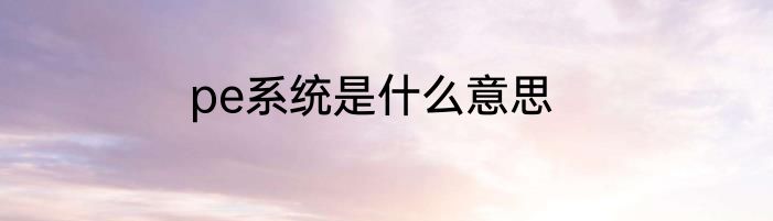 pe系统是什么意思